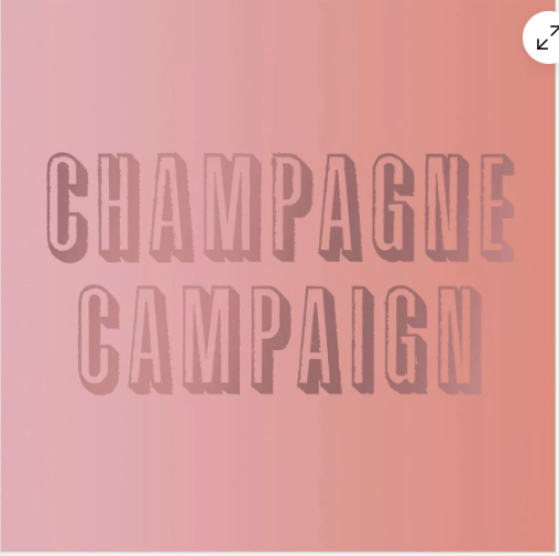 Champaign Campaign Beverage Napkins Set of 20