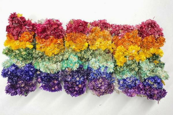 Organic White Sage Smudge Sticks with Dried Rainbow Flowers