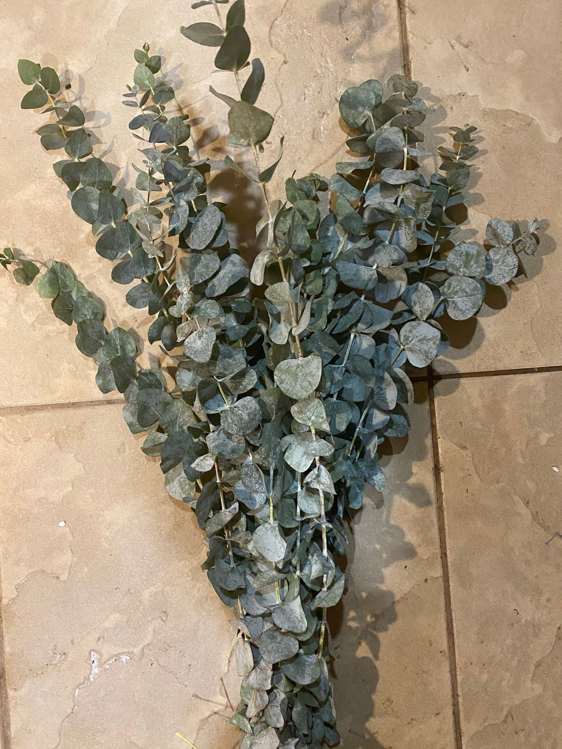Florist, Long Island, NY