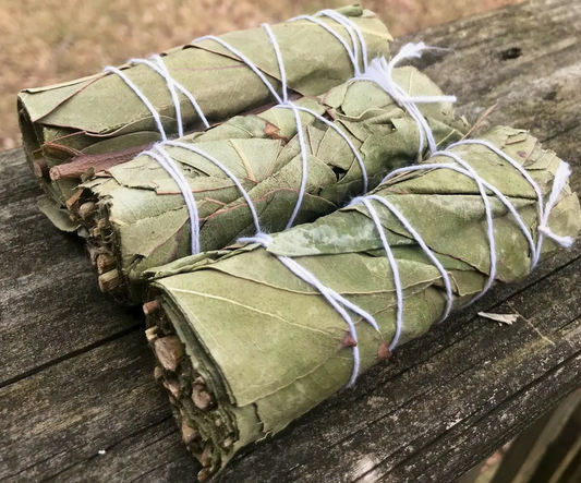 EUCALYPTUS Smudge Stick 4" Bundle for Ceremony, Meditation