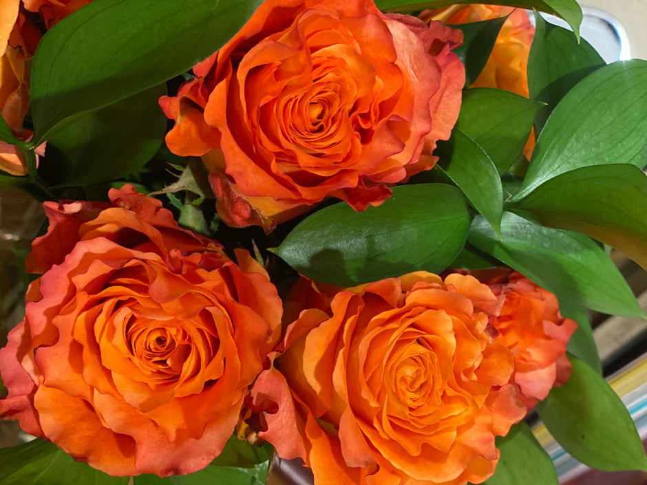 Fresh Flower Arrangements | Merrick | Queens | Long Island | NY – Olive ...