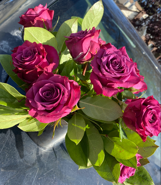 1 dozen roses in a vase, LONG ISLAND, NY