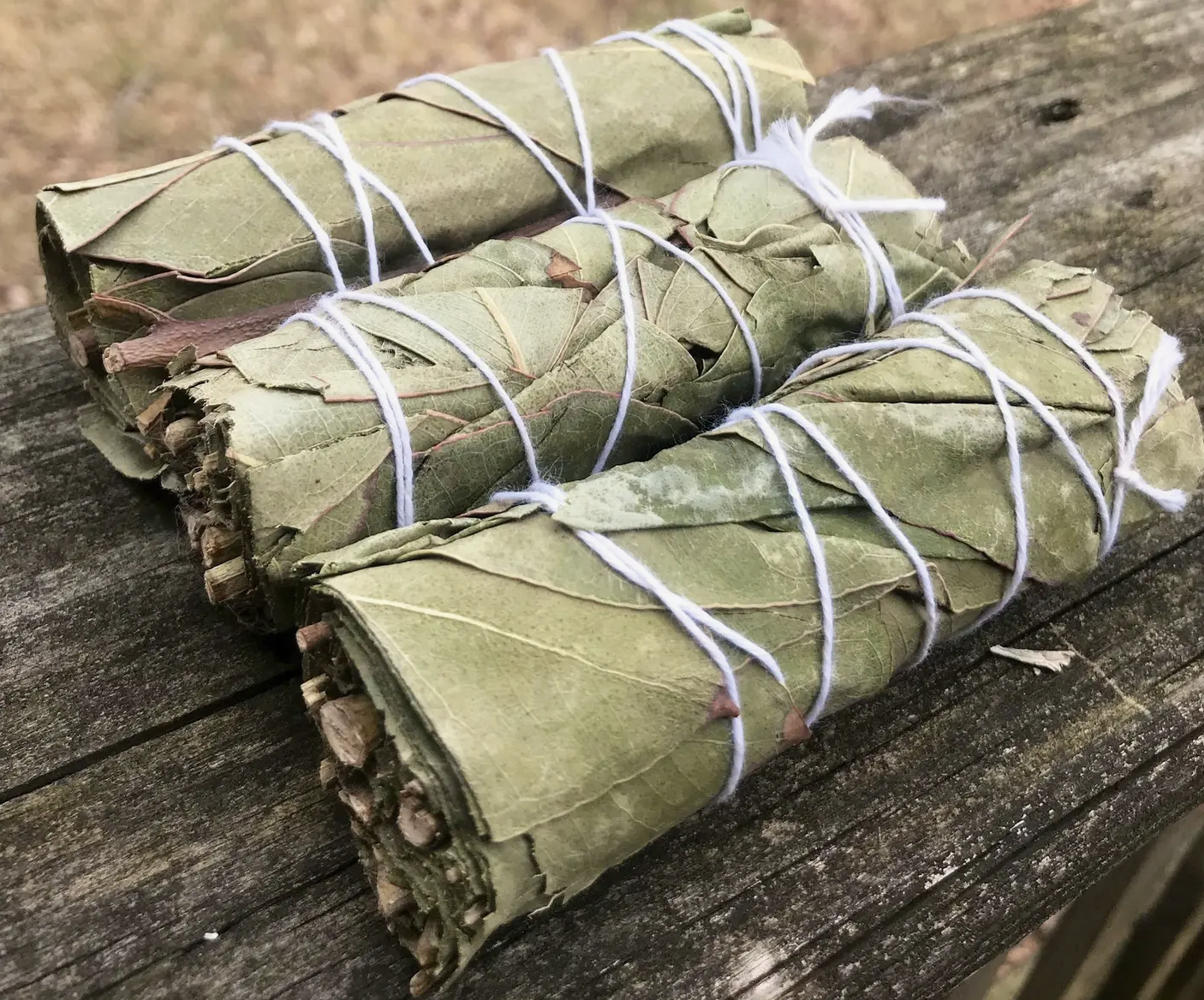 EUCALYPTUS Smudge Stick 4" Bundle for Ceremony, Meditation